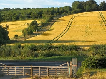 Lovely views all around