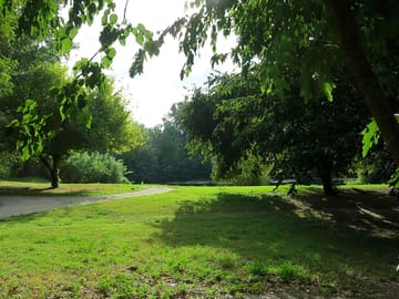 Shaded pitches
