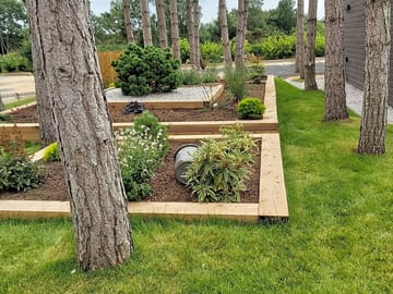 Landscaped garden area