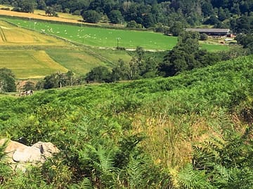 View of the field below