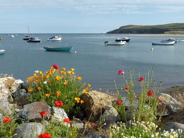 View of morfa head from the quay wall
