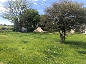 Butterfly Bell Tent