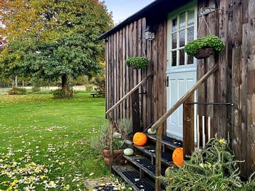 Halloween decorations