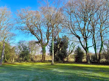 Pitches surrounded by trees