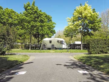 Pitches between the trees