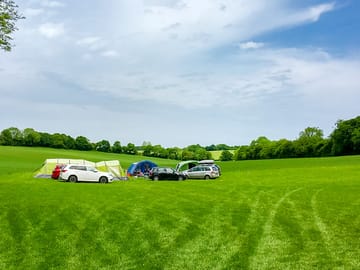 The meadow