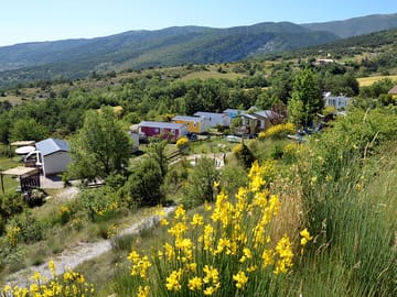 Flowers and trees around the site