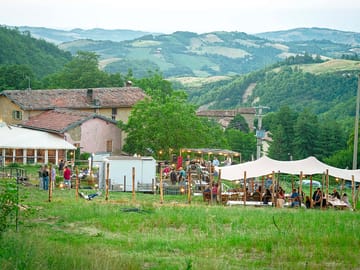 View from above