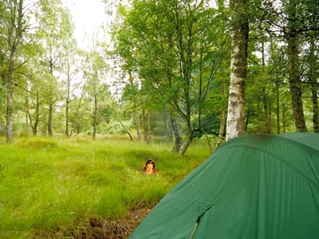 Pitch your tent among the trees in one of the woodland camping spots