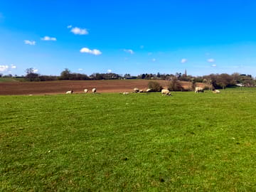 View from the farm