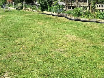 Grass pitches