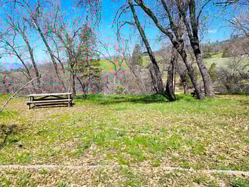 Site #12