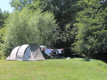 Pitch backed by trees