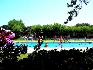 Pool time