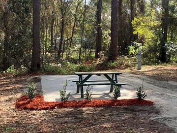 Fully-serviced back-in site