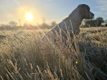 Great walks nearby