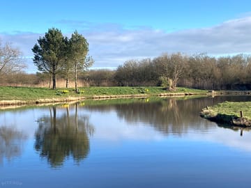 The island in spring