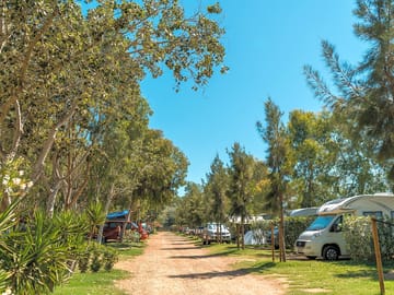 Camping Eucaliptus