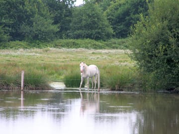 56 hectares of rural space on the estate