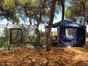 The pitch area