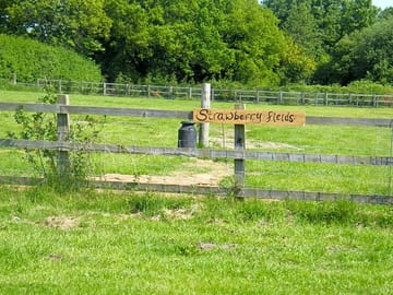 Campsite