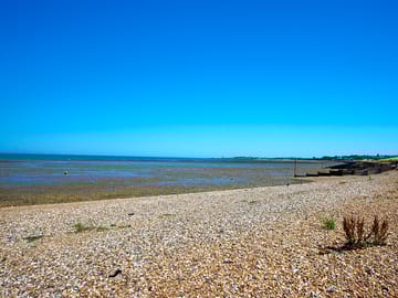 Local area