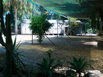 The grounds