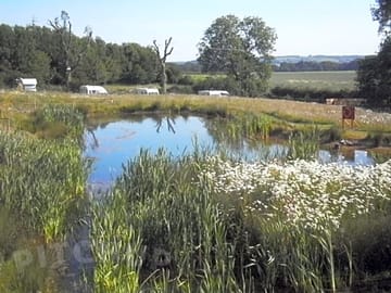 Wildlife pond at greetham retreat cl