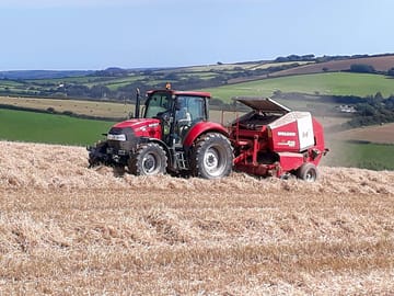 Terawhiti farm