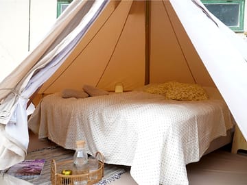 Looking inside the tent