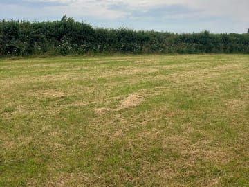 Camping field