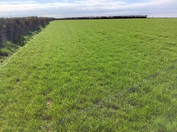 This is the top part of the field
