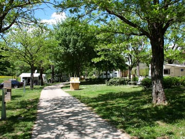 View of the site