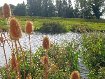 A view of the beautiful wildlife habitat next to the campsite.