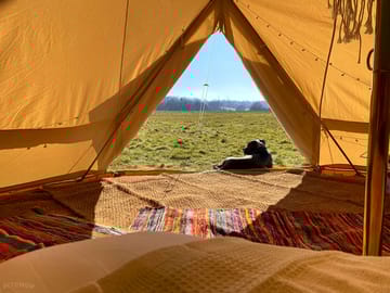 Dogs welcome