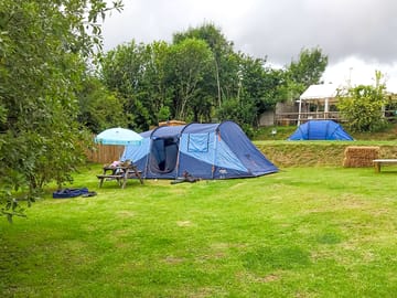 Visitor image of non electric grass pitch