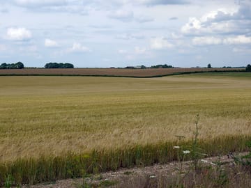 Surrounding countryside