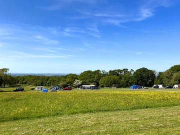 Camping field