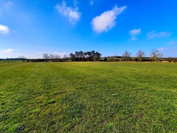 Grassy space for tents