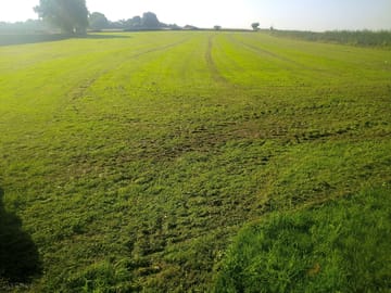 Well-kept pitches