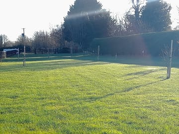 Tent field