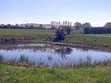 Pond area