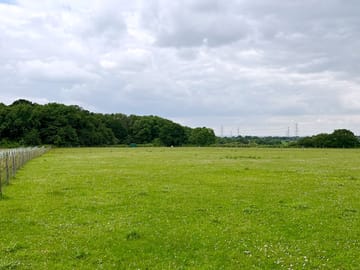 Pitches overlooking grazing fields and woodland