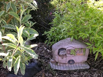 One of our gardens
