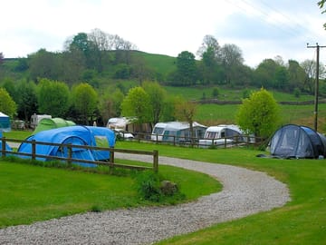 Tent pitches