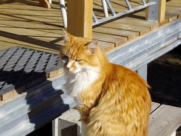One of the site team