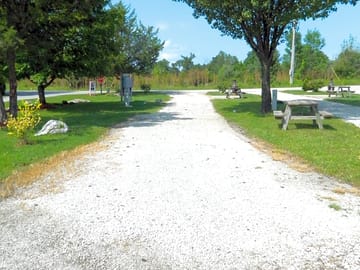 Larger pitches