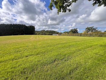 Clean-cut grass