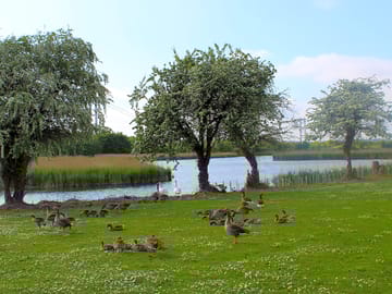 Another lake view
