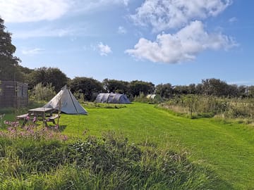 Camping pitch at the hide pembrokeshire